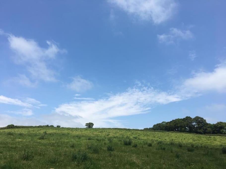 Park Gate, Colyton, Farm,Near Beaches-'Annie' エクステリア 写真